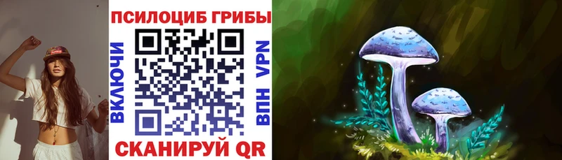 Псилоцибиновые грибы ЛСД Братск